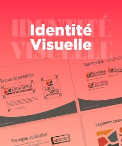 identité visuelle pixell